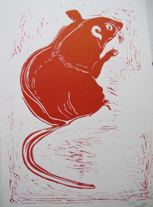 le Rat_1_1